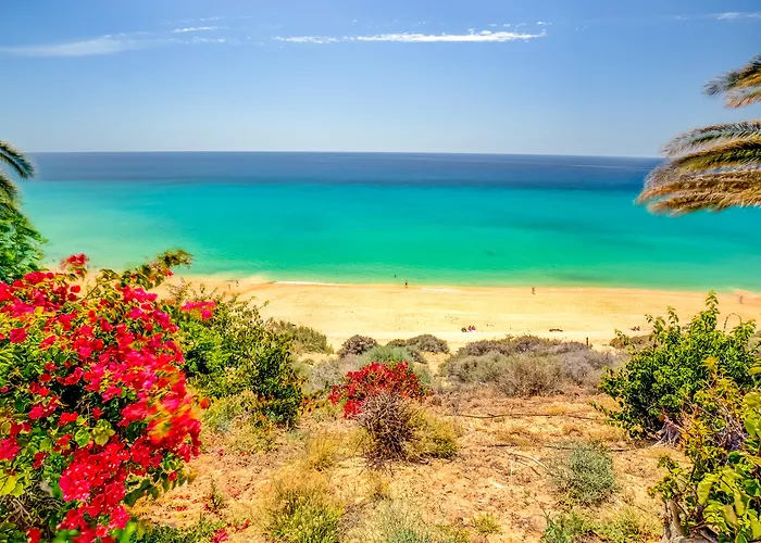 Sbh Club Paraiso Playa 4* Esquinzo