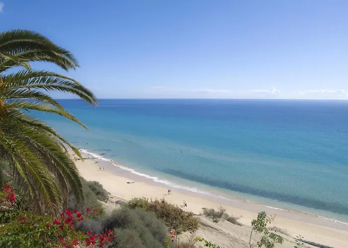 Hotel Sbh Club Paraiso Playa 4*